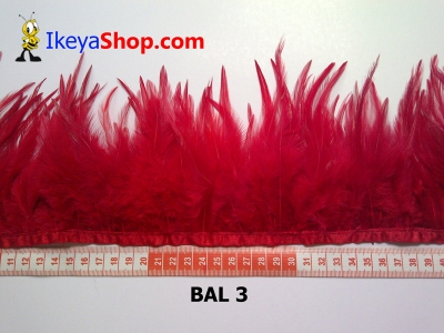 bulu ayam lancip BAL 3   feather  large2